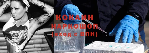 хмурый Бородино