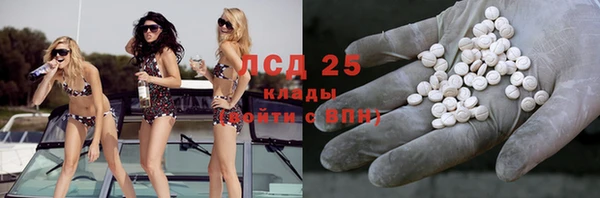 хмурый Бородино
