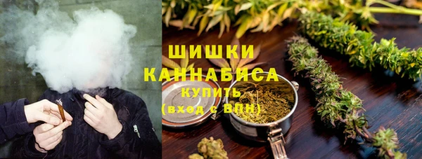 хмурый Бородино