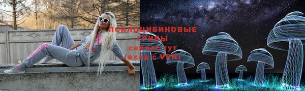 спиды Бронницы