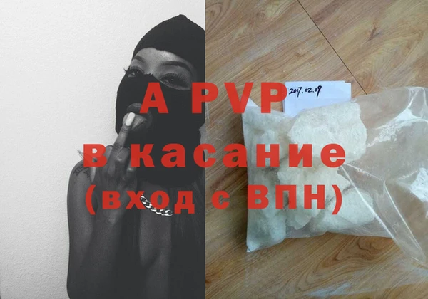 хмурый Бородино