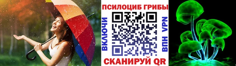 Галлюциногенные грибы Psilocybe  закладки  Южноуральск 